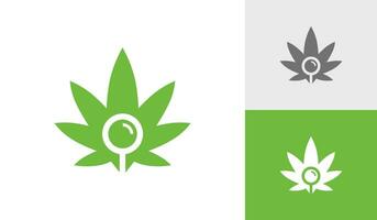 Cannabis mit Suche Symbol Logo Design vektor