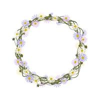 daisy krans. rund ram, söta lila och vita blommor kamomill vektor
