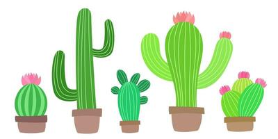 tecknad serie kaktus tropisk Hem exotisk växter. hand dra konst vektor konst