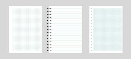 rutig papper och en linje i en anteckningsbok. papper bakgrund för webb. tom bärbara datorer med rutnät för läxa vektor