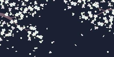 Blühen Geäst von Weiß Kirsche Bäume im ein eben Stil. das bewirken von weht Wind und fliegend Blütenblätter. japanisch traditionell Hanami, Valentinstag Tag, Mutter Tag. schön Kirsche isoliert auf schwarz. vektor