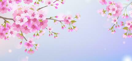 Geäst von Kirsche Blüten auf ein Sanft Licht Blau Himmel Hintergrund. zum Ostern und Frühling Karten mit Raum zum Text. Blumen- Frühling abstrakt Natur Hintergrund. Geäst mit Rosa Blumen. vektor