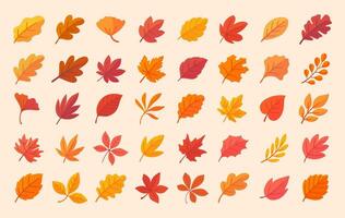 Herbst Blatt Sammlung Orange Ahorn Blätter im Herbst einfach Design vektor