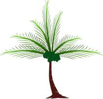 das Abbildungen und Clip Art, Palme Bäume vektor