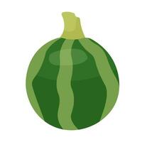 omogen pumpa lantlig 2d tecknad serie objekt. höst skörda jordbruk. vegetabiliska veggie isolerat vektor Artikel vit bakgrund. tacksägelse falla säsong. november höstlig Färg platt fläck illustration