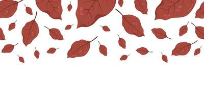 nahtlos horizontal Banner Muster mit Herbst fallen rot Blätter von Birke. perfekt zum Hintergrund, Verpackung Papier, Netz Websites, Hintergrund, Sozial Medien, Blog und Gruß Karten, Werbung vektor