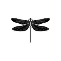 Silhouette von ein Libelle. Glyphe Symbol von Insekt, einfach gestalten von Damselfly. schwarz Vektor Illustration auf Weiß. perfekt zum Dekoration, Carving, Design.
