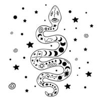 schwarz Gliederung Magie Schlange mit Sterne und Mond Phasen. Hexerei Linie Kunst Vektor Illustration.