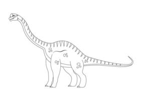 svart och vit europasaurus dinosaurie tecknad serie karaktär vektor. färg sida av en europasaurus dinosaurie vektor