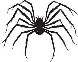 schwarz Spinne von Halloween Vektor