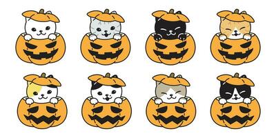 Katze Vektor Kürbis Halloween Symbol Kätzchen Rasse Kattun Logo Symbol Karikatur Charakter Gekritzel Illustration Design