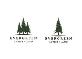 tall vintergröna gran odört gran barrträd ceder barr- cypress lärkträd pinus träd skog årgång retro hipster linje konst logotyp design vektor