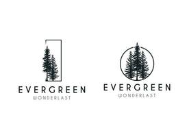 tall vintergröna gran odört gran barrträd ceder barr- cypress lärkträd pinus träd skog årgång retro hipster linje konst logotyp design vektor