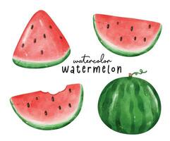 färgrik vattenfärg vattenmelon illustration, hand dragen exotisk frukt samling i vibrerande akvareller vektor