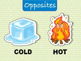 Gegensätzliche Wörter für kalt und heiß vektor
