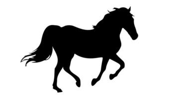 Pferd schwarz Silhouette. Laufen oder Gehen Pferd oder Mustang. Vektor isoliert auf Weiß. Hufe. Symbol, Abzeichen, Emblem. Design zum drucken, Hippodrom, Pferd Rennen, Bauernhof, Zucht Bauernhof, Zoo, Pferdesport Verein