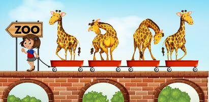 Liten tjej som drar vagnar med giraff till djurparken vektor