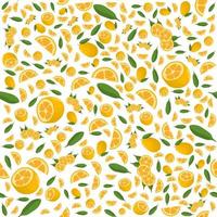 illustration på temat stora färgade sömlösa kumquat vektor