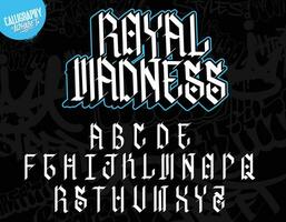 Graffiti Kunst Alphabet. dekorativ Graffiti Schriftart Vektor Design.