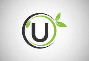 engelsk alfabet u med grön löv. organisk, miljövänlig logotyp design vektor mall
