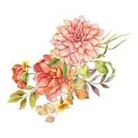 vattenfärg falla blommig bukett hand målad illustration. hand målad vattenfärg blommor isolerat på vit bakgrund. perfekt för bröllop inbjudningar, brud- dusch och blommig hälsning kort vektor