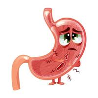 Bauch Geschwüre. süß und traurig Bauch Charakter mit Gesicht und zwei Geschwüre. anatomisch Vektor Illustration