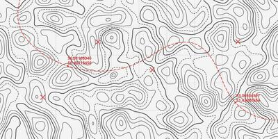 hav topografisk linje Karta med kurvig Vinka isoliner vektor illustration.