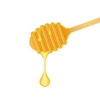 trä- sked för flytande sötma. honung dipper. vektor stock illustration