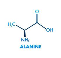 Alanin Formel, großartig Design zum irgendein Zwecke. Alanin Formel. vektor