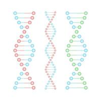 DNA Strand Symbol. DNA Genetik. Vektor Lager Illustration