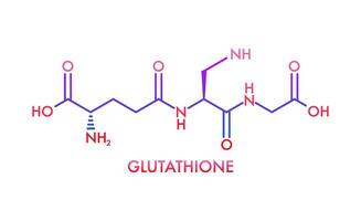 Glutathion chemisch Formel. reduziert Glutathion, gsh. Vitamin Lösung Komplex. Vektor Lager Illustration