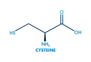 cystein molekyl skelett- kemisk formel. 3d ikon med cystein. vektor
