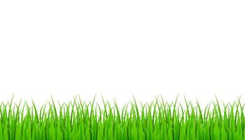 Grün Gras Wiese Rand Vektor Muster. Gras Hintergrund Vektor Lager Illustration