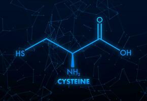 Cystein molekular Skelett- chemisch Formel. 3d Symbol mit Cystein. vektor