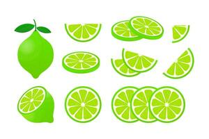 Limette mit Grün Blätter, Scheibe Zitrusfrüchte isoliert auf Weiß Hintergrund. Vektor Illustration