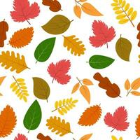 sömlös mönster med höst löv. vektor illustration.