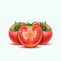 Tomaten Hälfte Vorderseite Aussicht vektor