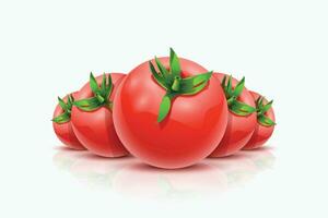Tomaten Lügen auf Weiß vektor