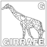 Färbung Buch zum Kinder. Alphabet G Giraffe. Vektor Illustration. Kinder Färbung Seite mit ein Bild von ein Giraffe zum Tier Anerkennung und das Brief G
