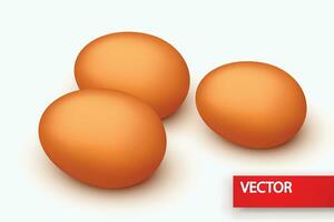 Gruppe von Eiern vektor