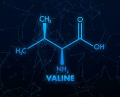 Valin Formel zum medizinisch Design. Valin Formel, großartig Design zum irgendein Zwecke. vektor