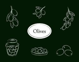 träkol stil oliv uppsättning isolerat på en grön bakgrund, vektor illustration av frukt, oliv gren, oliver i burk, och oliver i tallrik
