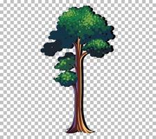 ett träd isolerat vektor