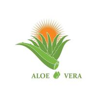 Aloevera-Logo-Symbol-Vektor-Illustration-Design vektor