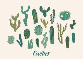 Cactus samlingsset. Vektor illustration. Designelement