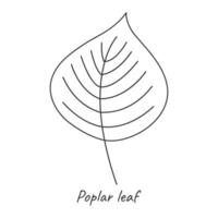 Gliederung von Pappel Blätter. Vektor Illustration.