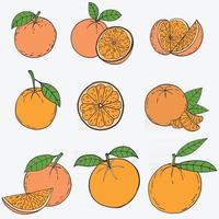 doodle frihand skissritning av orange frukt. vektor