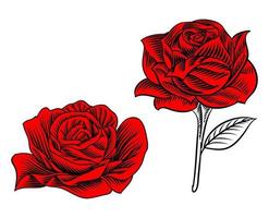 Illustrationssatz der Rose, die für Logoelement blüht vektor