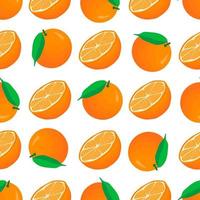 illustration på tema stora färgade sömlös orange vektor