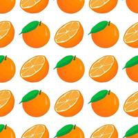 illustration på tema stora färgade sömlös orange vektor